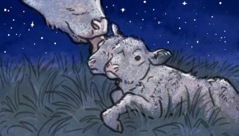 The Two Headed Calf Art, Two Headed Calf Wallpaper, Two Headed Calf Illustration, Two Headed Lamb Drawing, Two Headed Animal Art, Laura Gilpin Two Headed Calf, 2 Headed Calf, Letters To Vera, The Two Headed Calf