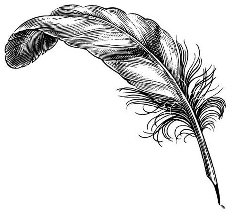 Quill Illustration, Church Illustration, Quill Tattoo, Feather Quill Pen, Feather Illustration, Feather Drawing, Quill And Ink, Feather Tattoo Design, Feather Quill