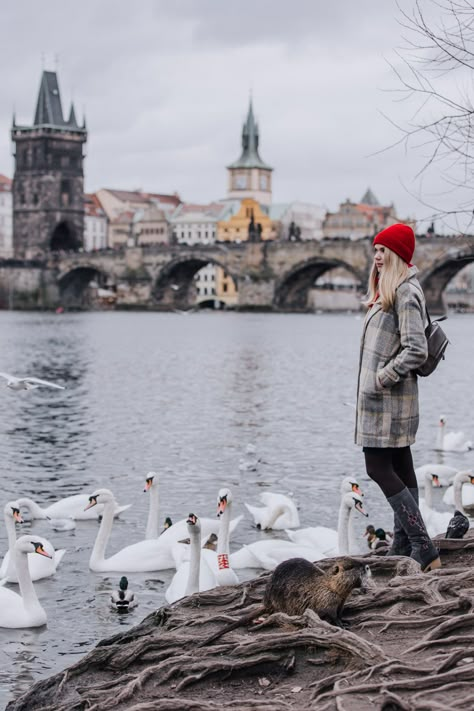 Lifestyle & Portrait Photography Prague Prague Portrait Photography, Prague Photoshoot Ideas, Prague Czech Republic Photo Ideas, Prague Style, Prague Photo Ideas, Tourist Photography, Prague Girls, Prague Charles Bridge, Prague Photography