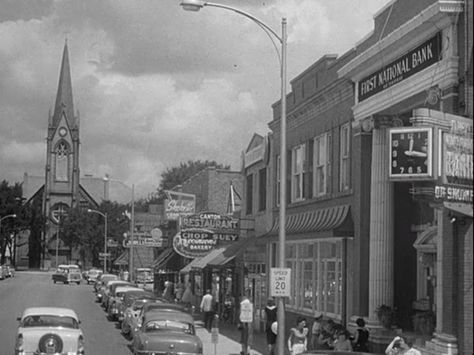 Skokie Illinois, Father Knows Best, Leave It To Beaver, Shedd Aquarium, Chicago History, Chicago Suburbs, Business District, Secrets Revealed, Cemetery