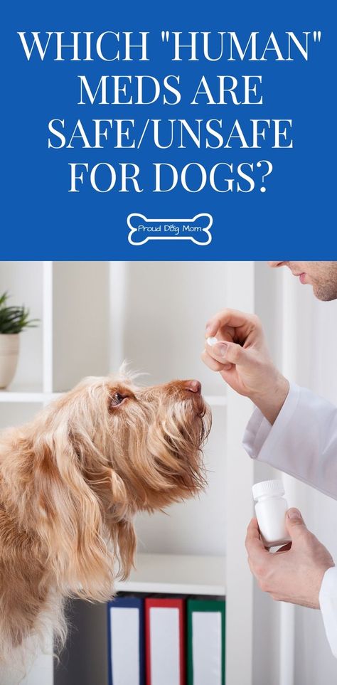 Which Over-The-Counter Medications Are Safe/Unsafe For Dogs? | Dog Health | Medicine Dogs Can Take, Human Medications Safe For Dogs, Human Medicine For Dogs, Otc Meds For Dogs, Dog Friendly Medications, Human Meds For Dogs, Medicine For Dogs Over The Counter, Allergy Medicine For Dogs, Allergy Meds For Dogs