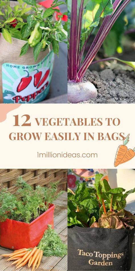 You want to find a method to grow the vegetables that help you save cost, and move easily when the weather change suddenly. Containers or pots aren’t the only way. Think about bags! It is a perfect solution to save up space and still grow abundant vegetables. You can reuse burlaps, jute bags, sacks, polypropylene bags, hemp bags, or even grocery bags, and then turn them into your own garden method. Diy Grow Bags, Reuse Containers, Ti Plant, Vegetables To Grow, Garden Bags, Growing Greens, Canned Fruit, Weather Change, Grow Bags