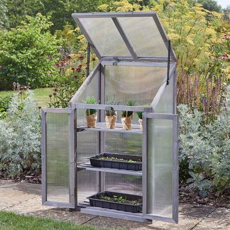 Smart Garden Wooden Gro Zone Growhouse | Oasis Gardening Ltd Grow Station, Garden Bbq, Smart Garden, Mini Greenhouse, Opening Doors, Diy Greenhouse, Cold Frame, Tool Sheds, Buy Plants