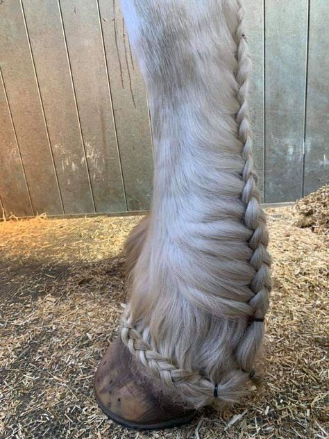 Horses are smart, majestic creatures. Except for the ones that aren't. Twitter user @mckellogs has just posted a thread, portraying the way their family are preparing for the impending snowmageddon, and it's their horse Tango that needs the most attention. Gorgeous Horses, Horse Hairstyles, Braided Mane Horse, Unique Horse Markings, Horse Stuff, Horse With Unique Markings, Horse Mane Braids, Feathers In Horses Mane, Western Horse Tack Turquoise