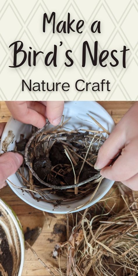 child and parent's hands shaping natural materials into a bowl on a wooden surface with dried grass and mud.  Light tan rectangle across the top with lattice and text overlay. Nature Crafts For Middle School, Nature Schooling, Nature Crafts Kindergarten, Nature Color Activities, Nature Theme Activities, Bird Nest Preschool, Nature Preschool Theme, Bird Unit Study Preschool, Nature Education Activities