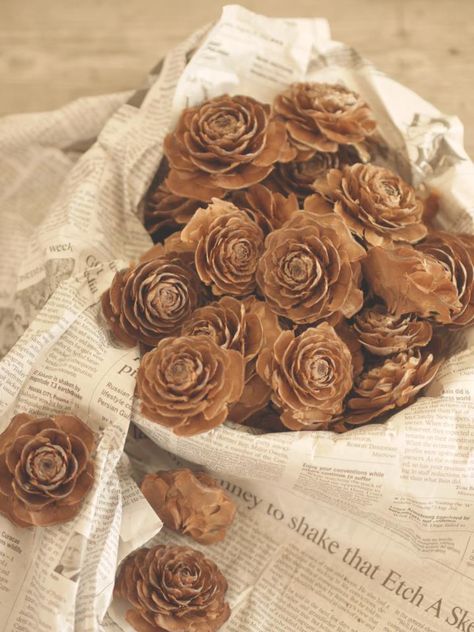 cut pine cones look like roses and could be used to make a funky, natural floral arrangement. Houses In Japan, Rose Video, Cones Crafts, Pine Cone Crafts, Fake Flowers, Wreath Crafts, Event Styling, Pine Cones, Hobbies And Crafts