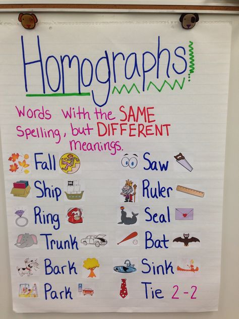 Homographs Anchor Chart Homographs Anchor Chart, Ela Anchor Charts, Bored Teachers, Classroom Anchor Charts, Leveled Readers, Teaching Grammar, Teaching Phonics, English Writing Skills, Anchor Chart