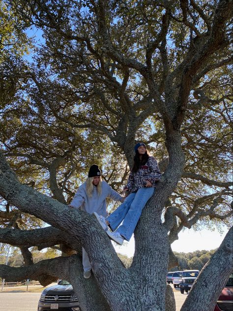 Anthropomorphic Characters, Banksy Mural, Cogan Indo, Climbing Trees, Human Figure Sketches, Forest Aesthetic, Tree Climbing, Story Aesthetic, Sisters Photoshoot