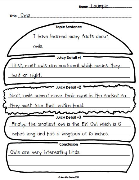 Finally in First: Hamburger Paragraph Craft and Organizers Giveaway Hamburger Paragraph, Teaching Paragraphs, Second Grade Writing, Third Grade Writing, 3rd Grade Writing, 2nd Grade Writing, Homeschool Writing, Topic Sentences, Writing Anchor Charts