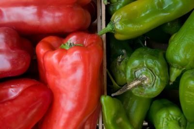 How to Use an Oven to Dehydrate Peppers Dehydrate Peppers, Hot Peppers Plants, Mild Salsa, Dried Peppers, Pepper Plants, Dehydrated Food, Stuffed Poblano Peppers, Hot Pepper, Dehydrator Recipes