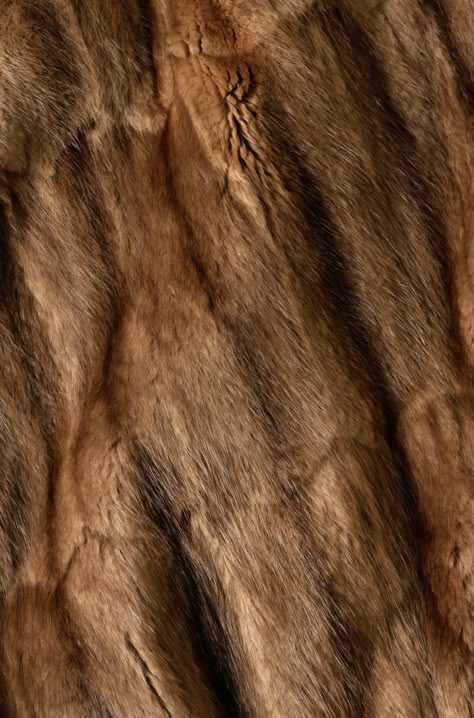 , texture fur, brown fur texture background, background Fenrys Moonbeam, Fur Aesthetic, Fur Background, Fur Texture, Brown Fur, Bioshock, Background Background, Foto Ideas Instagram, Throne Of Glass