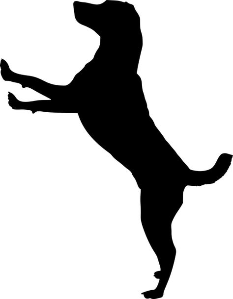 Free Image on Pixabay - Silhouette, Dog, Doggy, Animal Silhouette Arte, Silhouette Chat, Labrador Silhouette, Vogel Silhouette, Silhouette Dog, Tattoo Dog, Dog Quilts, Trendy Tattoo, Black And White Art Drawing