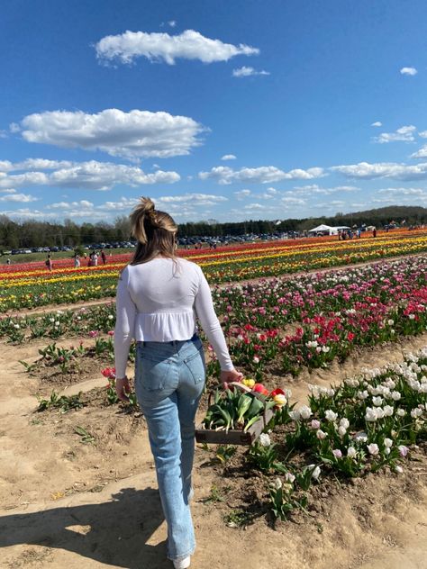 #spring #springtime #tulips #colorful #flowers #picking #tulip #farmersmarket #floral #instagood Tulip Farm Outfit Cold, Tulip Picking Outfit, Tulip Farm Outfit, Tulip Field Poses, Photoshoot In Tulip Field, Tulip Picking Aesthetic, Tulip Farm Pictures, Tulip Picking, Tulips Colorful