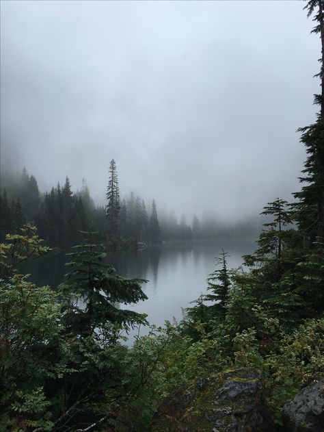 Lake Serene Washington, Lake 22 Washington, Forks Washington Aesthetic, Washington Forest, Sammamish Washington, Foggy Lake, Forks Washington, Dark Naturalism, Dark Forest Aesthetic