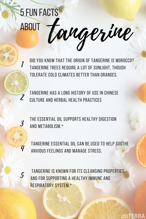 Tangerine 15 mL is NOW AVAILABLE as a permanent dōTERRA essential oil! Click on the pin for more information! Tangerine Benefits, Summer Essential Oils, Petitgrain Essential Oil, Tangerine Essential Oil, Neroli Essential Oil, Citrus Essential Oil, Essential Oil Benefits, Living Essentials Oils, Citrus Oil