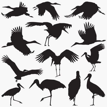 bird,chicken,crane,dove,eagle,falcon,feeding,flamingo,fly,free use,goose,hawk,hen,nest,ostrich,owl,parrot,pelican,penguin,pigeon,raven,seagull,silhouette,sparrow,stork,swallow,swan,turkey,wing,bird vector,birds vector,eagle vector,wing vector,owl vector,chicken vector,silhouette vector,flamingo vector,fly vector,dove vector,peacock vector,penguin vector,turkey vector,bird silhouette,black bird Flying Bird Silhouette, Duck Silhouette, Stork Bird, Eagle Silhouette, Pelican Bird, Vector Portrait Illustration, Owl Vector, Illustration Story, Fly Logo