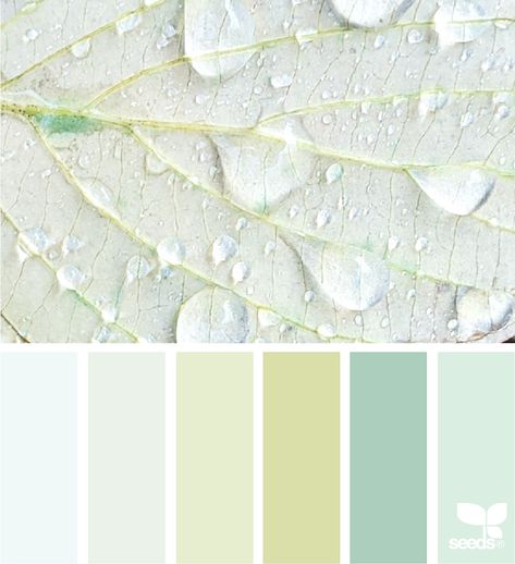 Design Seeds | Color Dew Light Green Color Combinations, Design Seeds Color Palette, Seeds Color Palette, Beach Color Palettes, Seeds Color, Green Color Combinations, Gold Color Palettes, Color Palette Challenge, Colour Consultant