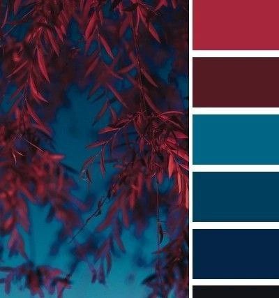 Jewel Tone Swatches, Dark Blue Complimentary Colors, Kaeya Color Pallet, Deep Red And Blue Color Palette, Deep Blue Color Scheme, Red And Cyan Color Palette, Red Color Palette Bedroom, Maroon And Blue Color Palette, Dark Blue And Red Color Palette