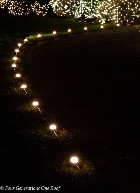 Outdoor Walkway Christmas Lights, Christmas Landscape Ideas, Rope Light Christmas Decorations Outdoor, Outdoor Christmas Lights Driveway, Christmas Lights Walkway, Christmas Sidewalk Lights, Christmas Lights Driveway, Christmas Walkway Lights, Pathway Lighting Ideas Walkways