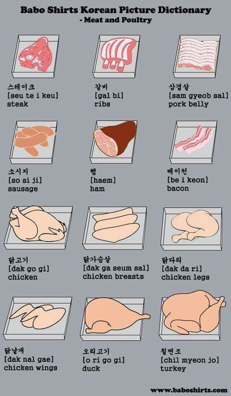 Meat and poultry Learn To Speak Korean, Korean Travel, Learn Basic Korean, Learn Korean Alphabet, Easy Korean Words, Materi Bahasa Jepang, Learn Hangul, Learn Korea, Korean Writing