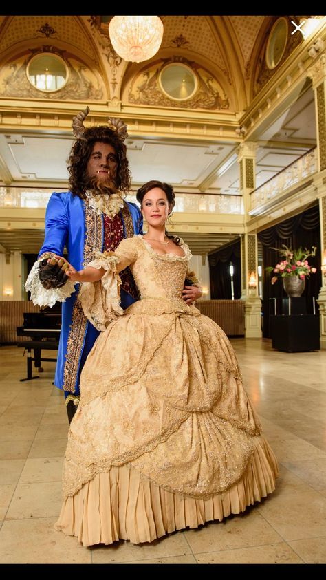 Belle Ballgown, Beauty And The Beast Costumes, Beauty And The Beast Musical, The Beast Costume, Beauty And The Beast Costume, Beast Costume, Disney Princess Costumes, Belle Costume, Dream Roles