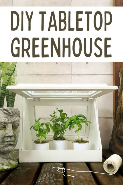 Don’t have space for the real thing, then this easy-to-make, tabletop greenhouse with faux-etched windows is perfect. It’s great for growing microgreens, herbs, succulents, air plants, moss, cacti, and more. And for adding visual interest. The tabletop greenhouse makes a wonderful housewarming gift too and is ideal for small spaces. #ACraftyMix Diy Table Top Greenhouse, Table Top Greenhouse Diy, Diy Indoor Greenhouse Small Spaces, Table Top Greenhouse, Diy Indoor Greenhouse, Mini Greenhouse Indoor, Tabletop Greenhouse, Diy Small Greenhouse, Diy Mini Greenhouse