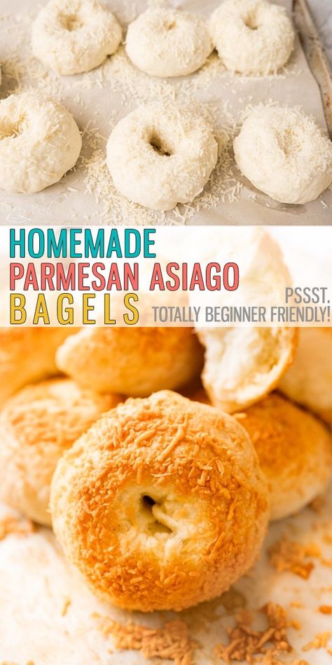 Easy Asiago Cheese Bagels are chewy, full of flavor and easy to make. Utilizing the Instant Pot makes this recipe FAST! Say goodbye to store-bought bagels, it's time to make them homemade! |Cooking with Karli| #asiago #bagel #bagelrecipe #easy #bagel #breakfastrecipe #homemade #easy