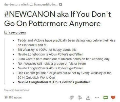 :) Harry Potter Canon, Moony Toast, Hogwarts Rules, Albus Potter, Magic People, Bookworm Problems, Hp Sauce, Hp Universe, Will Herondale