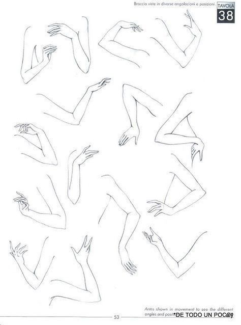 Hands And Arms Drawing, Hand Arm Drawing, Women Arms Drawing Reference Poses, Hand And Arm Reference, Arm References Drawing, Arm Drawing Reference, Drawing Arms, Arm Drawing, Fashion Illustration Tutorial