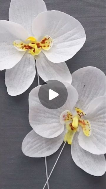 Wafer Paper Orchid Tutorial, Wafer Flowers Tutorial, Wafer Paper Flowers Template, Wafer Paper Flowers Cake, Wafer Paper Wedding Cake, Ukrasavanje Torti, Wafer Paper Tutorial, Orchid Cake, Violet Cakes