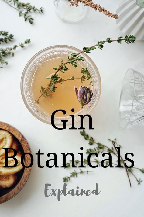 Of All The Gin Joints In All The World, Gin Botanicals Recipes, Botanical Gin Cocktail, Botanical Drinks, Botanical Recipes, Botanical Apothecary, Gin Ingredients, Gin Botanicals, Gin Recipe