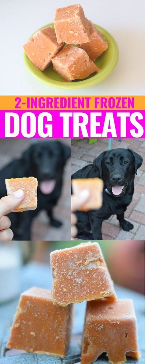 Yogurt Dog Treats, Summer Pets, Dog Ice Cream Recipe, Frosty Paws, Pumpkin Yogurt, Easy Dog Treat Recipes, Dogs Treats, Frozen Pumpkin, Frozen Dog Treats