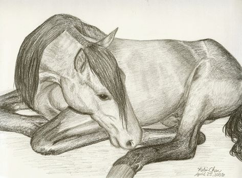 Charcoal Horse Drawing, Horse Drawing Ideas, Horse Laying Down, Art Charcoals, Horse Oil Painting, Horse Illustration, Horse Drawing, Horse Drawings, Creature Drawings