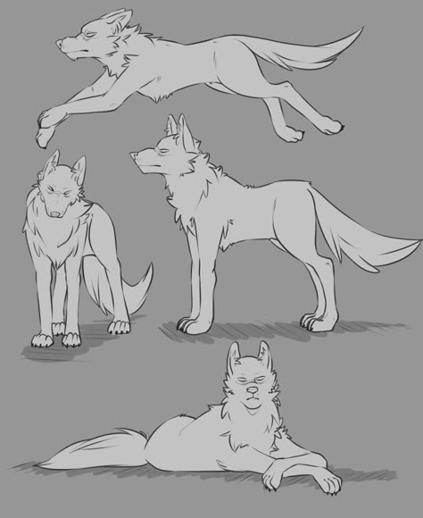 Wolf Drawing Bases, Wolf Body Base Drawing, Wolf Body Base, Wolf Drawing Reference Poses, Wolf Drawing Poses, Wolf And Human Drawing Base, Wolf Dog Drawing, Wolf Facing Forward Drawing, Maned Wolf Drawing Reference