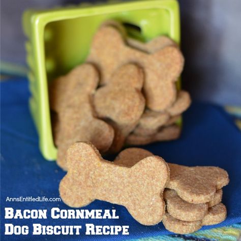 Bacon Cornmeal Dog Biscuit Recipe Dog Biscuit Recipe, Homemade Dog Cookies, Bacon Dog, Dog Biscuit, Dog Biscuit Recipes, Peanut Butter Dog Treats, Biscuit Recipes, Pet Tips, Dog Training Treats