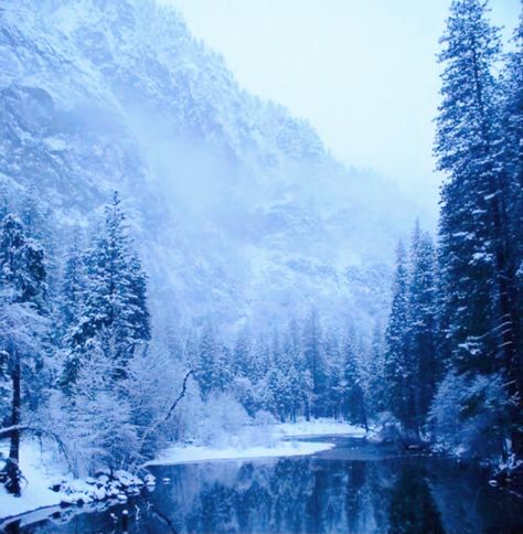 Snowy Blue Aesthetic, Ice Astethic, True Winter Aesthetic, Snowstorm Aesthetic, Blue Snow Aesthetic, Winter Aesthetic Blue, Arctic Aesthetic, Blue Winter Aesthetic, Snowy Picture