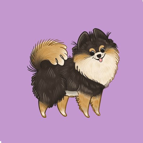 Pomeranian Art Illustrations, Pomeranian Dog Drawing, Felix Argyle, Spitz Puppy, Dog Animation, Canvas Collage, Puppy Art, Dog Sketch, Canine Art