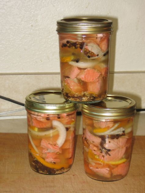 Pickled Salmon, Pickled Fish Recipe, Pickled Meat, Pickled Fish, Ham Wraps, Homemade Ham, Can Salmon, Pickled Eggs, Homemade Pickles