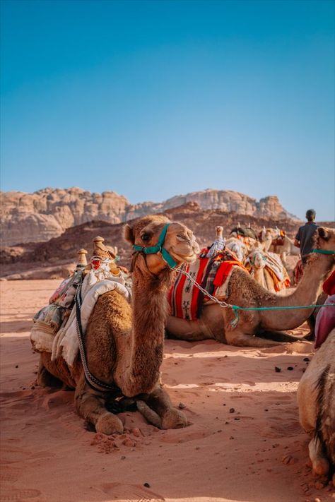 Group Trip, Outfit Holiday, Wadi Rum, Personal Improvement, Aesthetic Travel, Photography Travel, Professional Women, Small Group, Travel Aesthetic