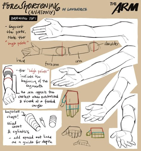 Draw Hands, Drawing Hands, Digital Sketch, Human Anatomy Drawing, Hand Drawing Reference, Human Anatomy Art, Art Tools Drawing, Sketches Tutorial, Desenho Tattoo