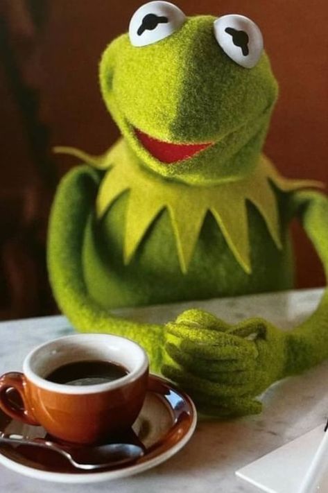 Kermit the Frog Kermit Face, Memes Kermit, Sapo Kermit, Frog Tea, Line Game, Dog Jokes, The Muppet Show, Kermit The Frog, Funny New