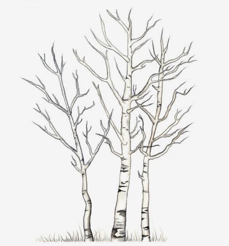 Aspen Trees Tattoo, Tree Pencil Sketch, Birch Tree Tattoos, Tree Line Drawing, Trees Tattoo, Thumbprint Tree, Botanical Artists, Birch Tree Art, Aspen Tree