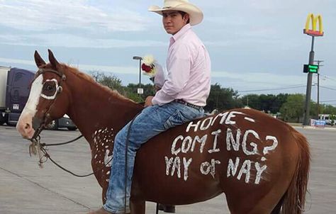 Never seen a homecoming proposal like this one. Cowboy Homecoming Proposal, Cowboy Hoco Proposal, Western Dance Proposal, Horse Hoco Proposals, Western Prom Proposal, Poster Proposal Ideas, Western Hoco Proposal, Cowboy Homecoming, Country Homecoming Proposal