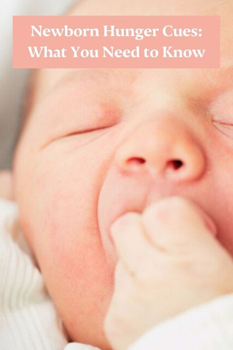 Learning when to feed your baby is a fine art, and it takes patience and practice. Here is what you need to know about newborn hunger cues. #newborn #newbornbaby #hungercues #newparent #newmom Hunger Cues, Very Sleepy, Motherhood Inspiration, Put On Weight, Baby Chick, Breastfeeding Tips, Baby Chicks, Traveling With Baby, New Parents