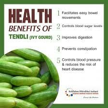 Benefits of tendli/ivy gourd/kovakkai Ivy Gourd, Homemade Facial Mask, Prevent Constipation, Pickle Juice, Fish And Meat, Organic Honey, Medical Research, Improve Digestion, Natural Home Remedies