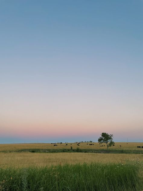 Driving Country Roads Aesthetic, Country Drive Aesthetic, Midwest Suburbs Aesthetic, Vintage Midwest Aesthetic, Illinois Aesthetic Country, Small Midwest Town Aesthetic, Midwest Farm Aesthetic, Midwest Country Aesthetic, Midwest Scenery