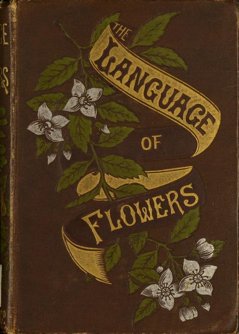 The language of flowers : including floral poetry : Free Download, Borrow, and Streaming : Internet Archive Garden Design Diy, Literature Posters, The Language Of Flowers, Vintage Book Cover, Diy Denim, Diy Jeans, Commonplace Book, Flower Meanings, Vintage Book Covers