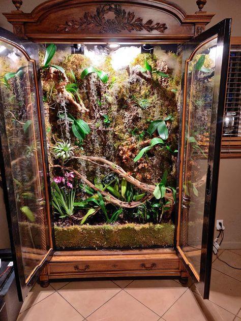 Snake Enclosure Ideas Diy, Diy Snake Enclosure, Themed Snake Enclosure, Reptile And Plant Room, Bioactive Terrarium, Gothic Snake Enclosure, Tarantula Enclosure Ideas Terrestrial, Gothic Reptile Enclosure, Vivarium Ideas