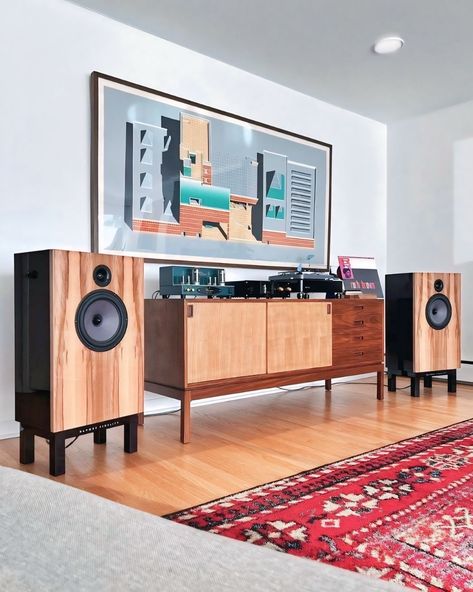 Vinyl Records Cabinet, Surround Sound Living Room, Speaker Setup, Console Cabinets, Vintage Stereo Console, Vinyl Record Cabinet, Audiophile Room, Hifi Room, Hifi Stand