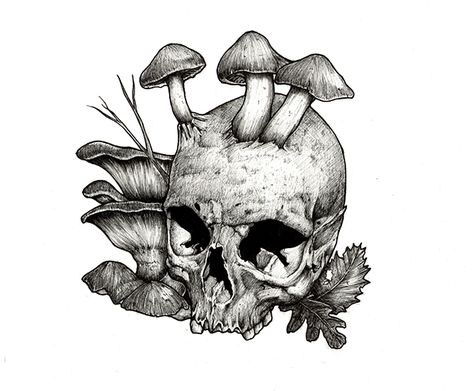 Skull With Mushrooms, Draw Dark, Dragon Printable, Dark Dragon, Drawing Skull, Art Mushroom, Mushroom Tattoos, Mushroom Drawing, Drawing Eyes